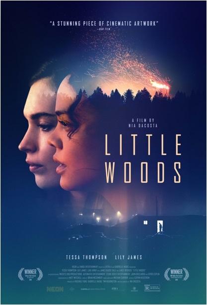 Lire la suite à propos de l’article Little Woods