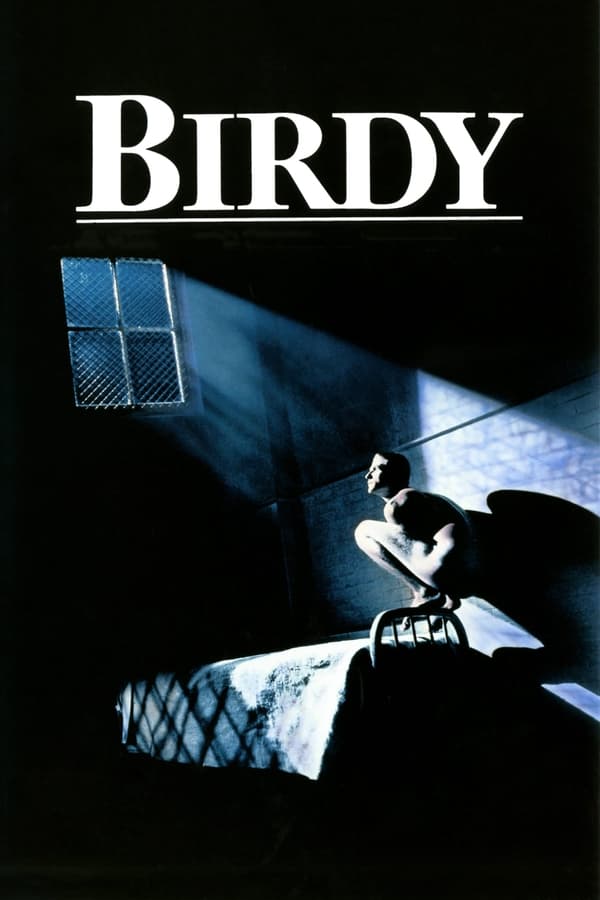 Birdy affiche