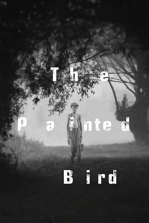 Lire la suite à propos de l’article The Painted Bird